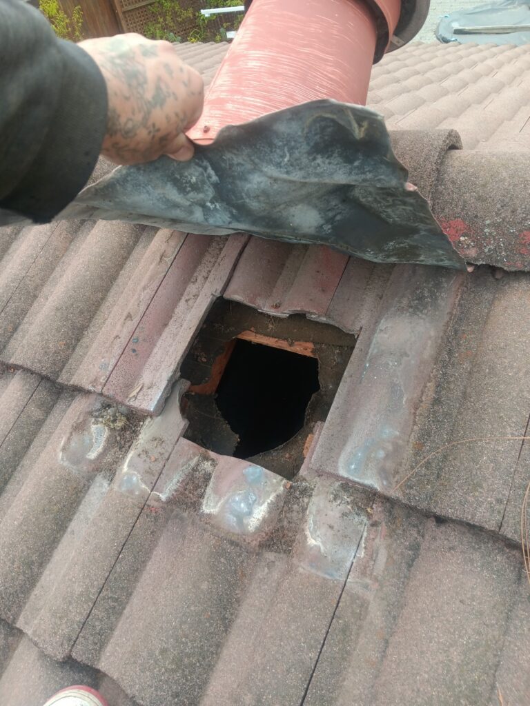 rodents getting into attics through holes